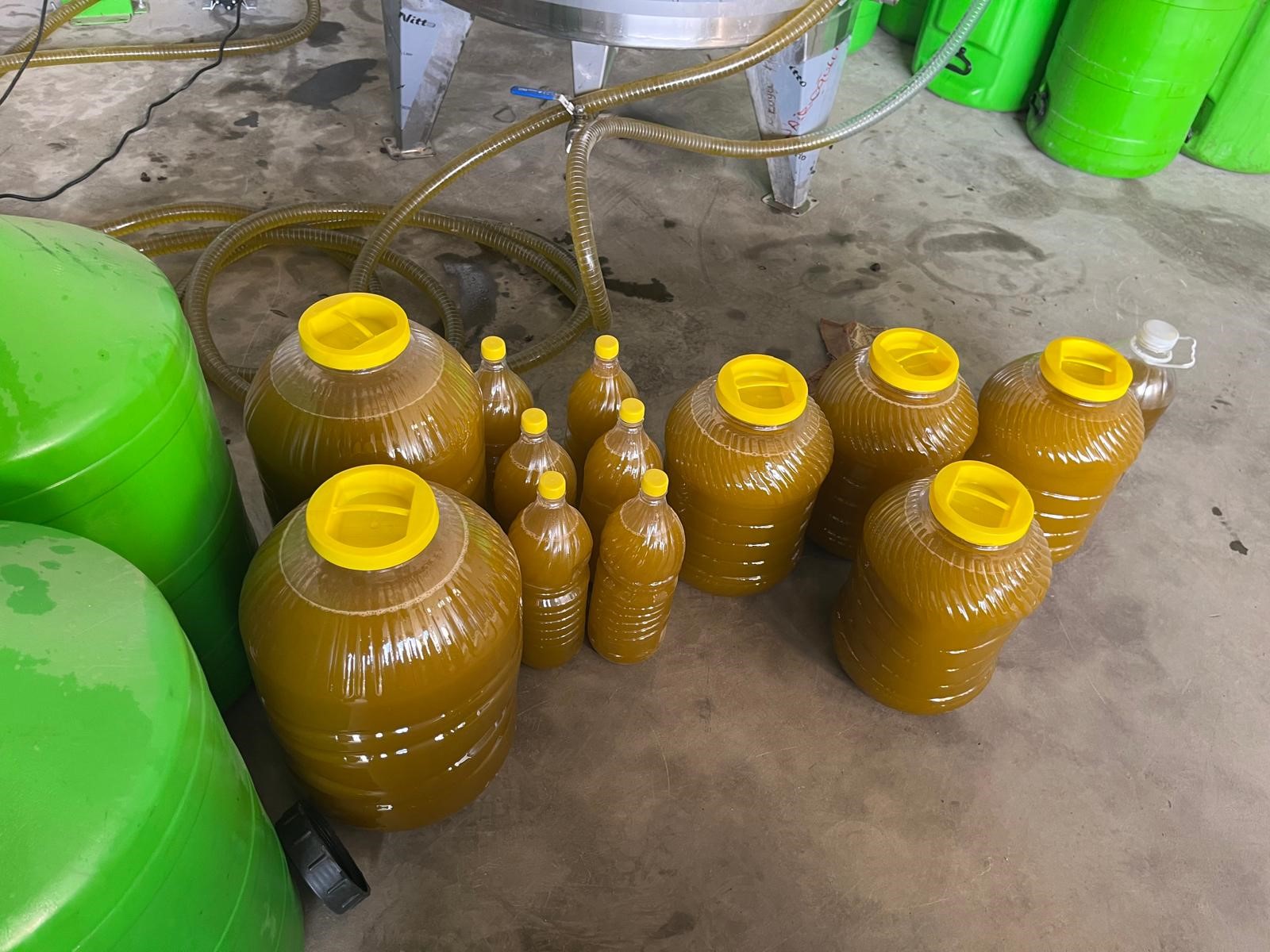 Denizli Haber Zeytinyağı (1)