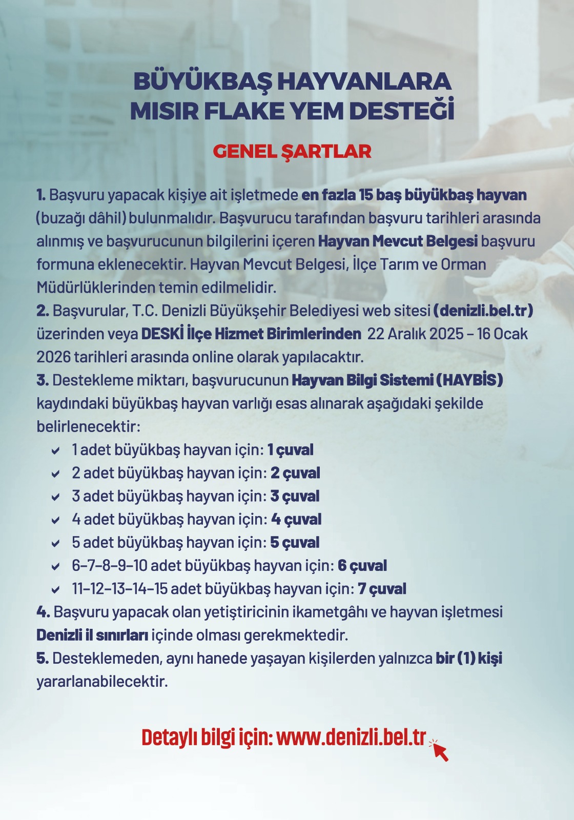 Denizli Mısır Flake (1)-1