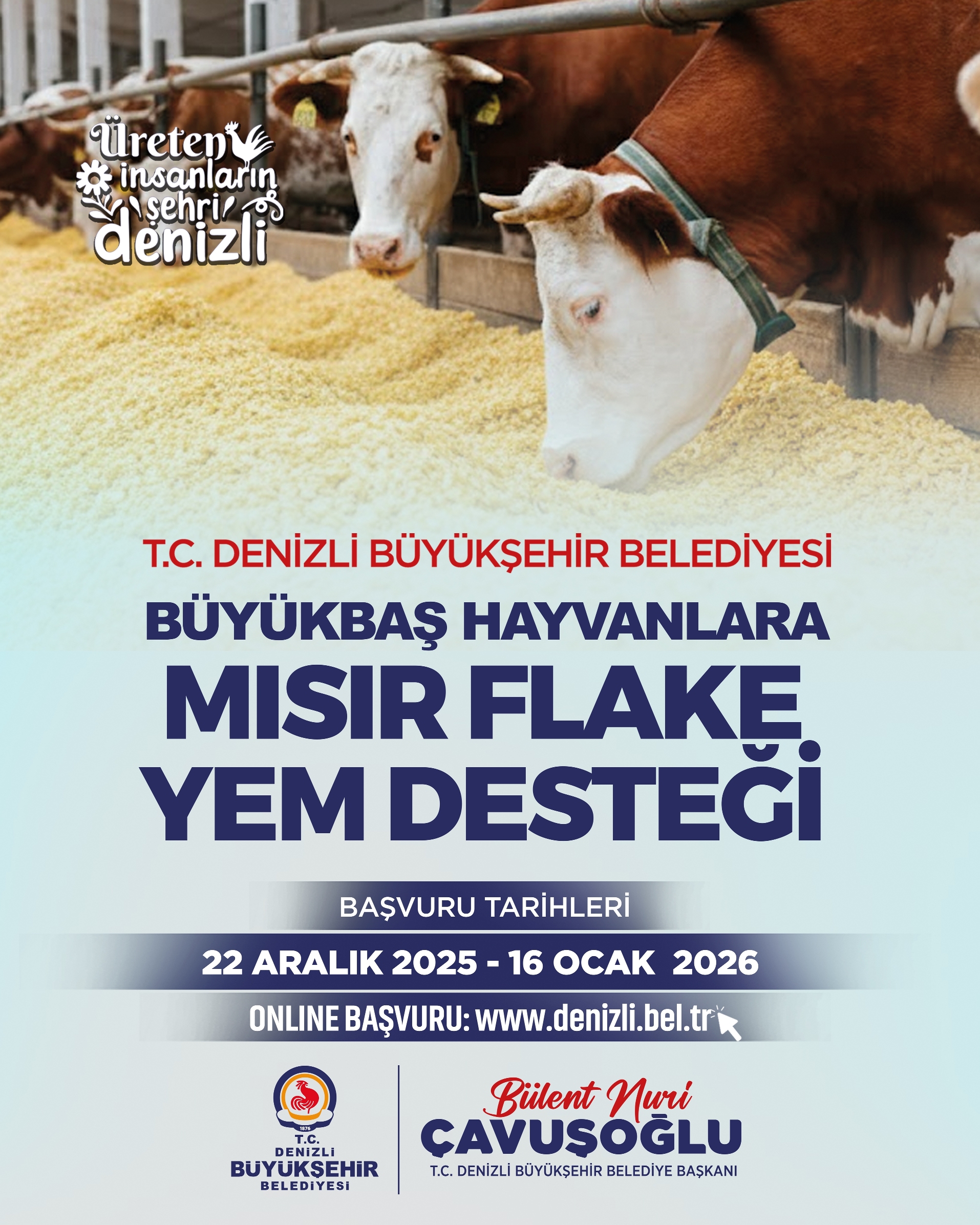 Denizli Mısır Flake (2)