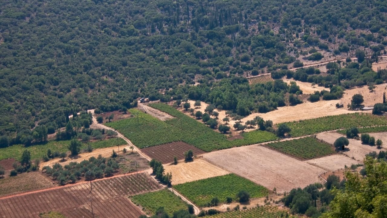 KURTLUCA MAHALLESİNDE SATILIK TARLA