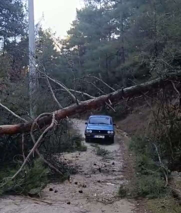 Buldan’da Fırtınadan Devrilen Ağaçlar Yolu Kapattı (3)