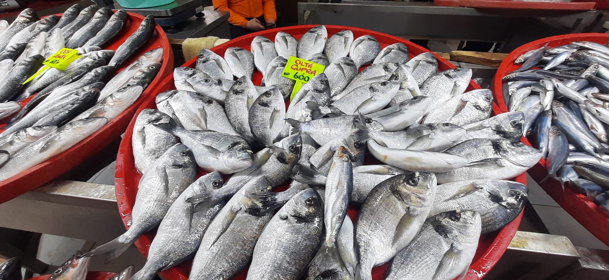 Denizli Balık Fiyatları 2026 Hamsi, Somon, Çupra Kaç Tl (1)