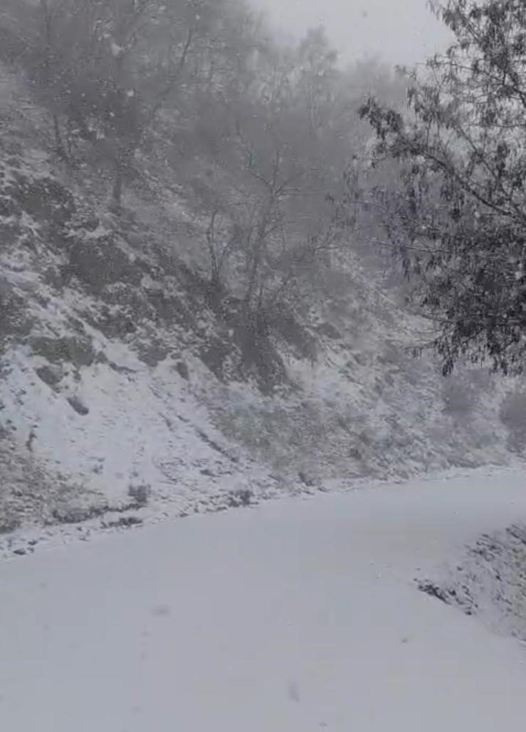 Denizli Buldan'da Yazın Yanan Orman Kışın Beyaza Büründü01
