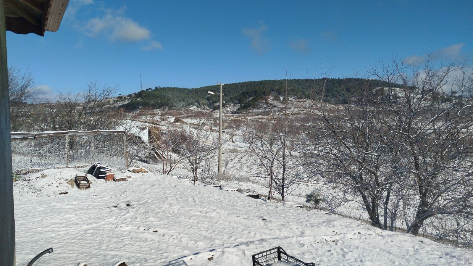 Denizli Buldan’da Yılın Ilk Karı Üreticileri Sevindirdi (1)