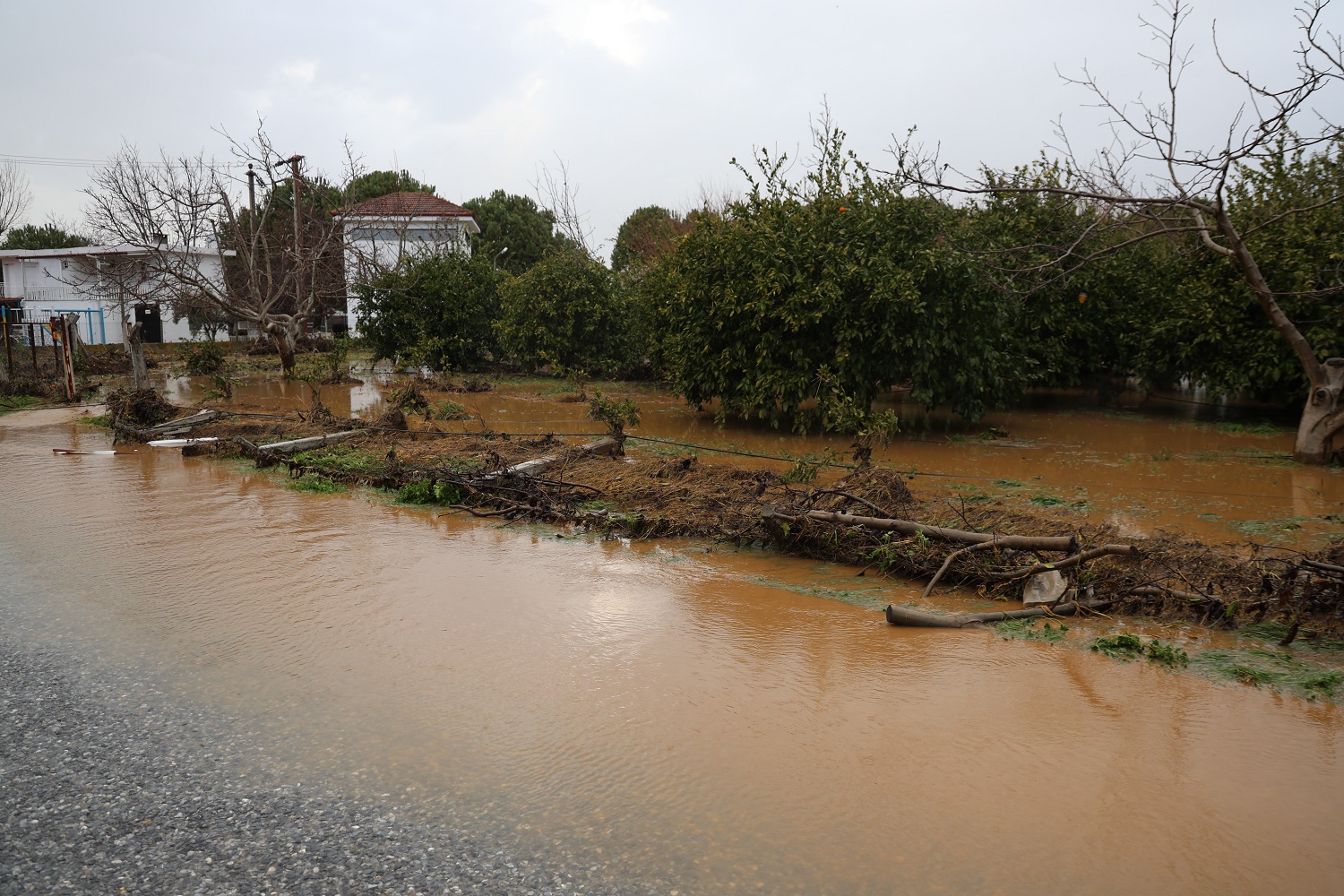 Deni̇zli̇ Haber Bahçeler Göle Döndü, Ağaçlar Sular Altında Kaldı
