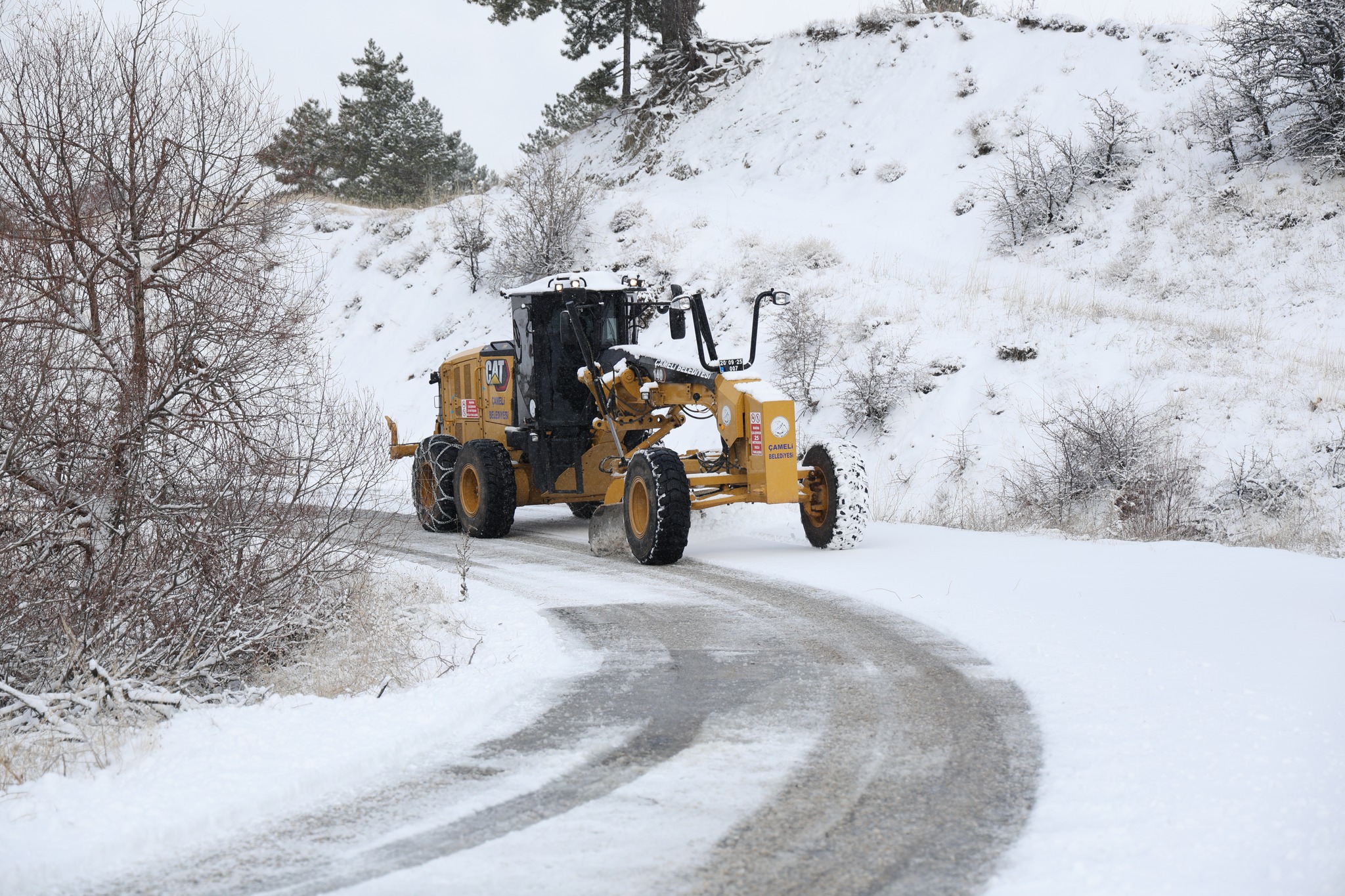 Denizli Haber Çameli Kar