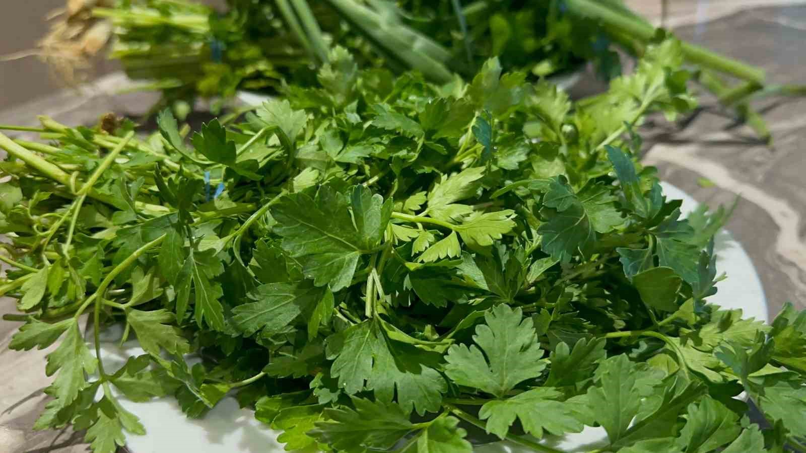 Denizli Haber Cvitaminii