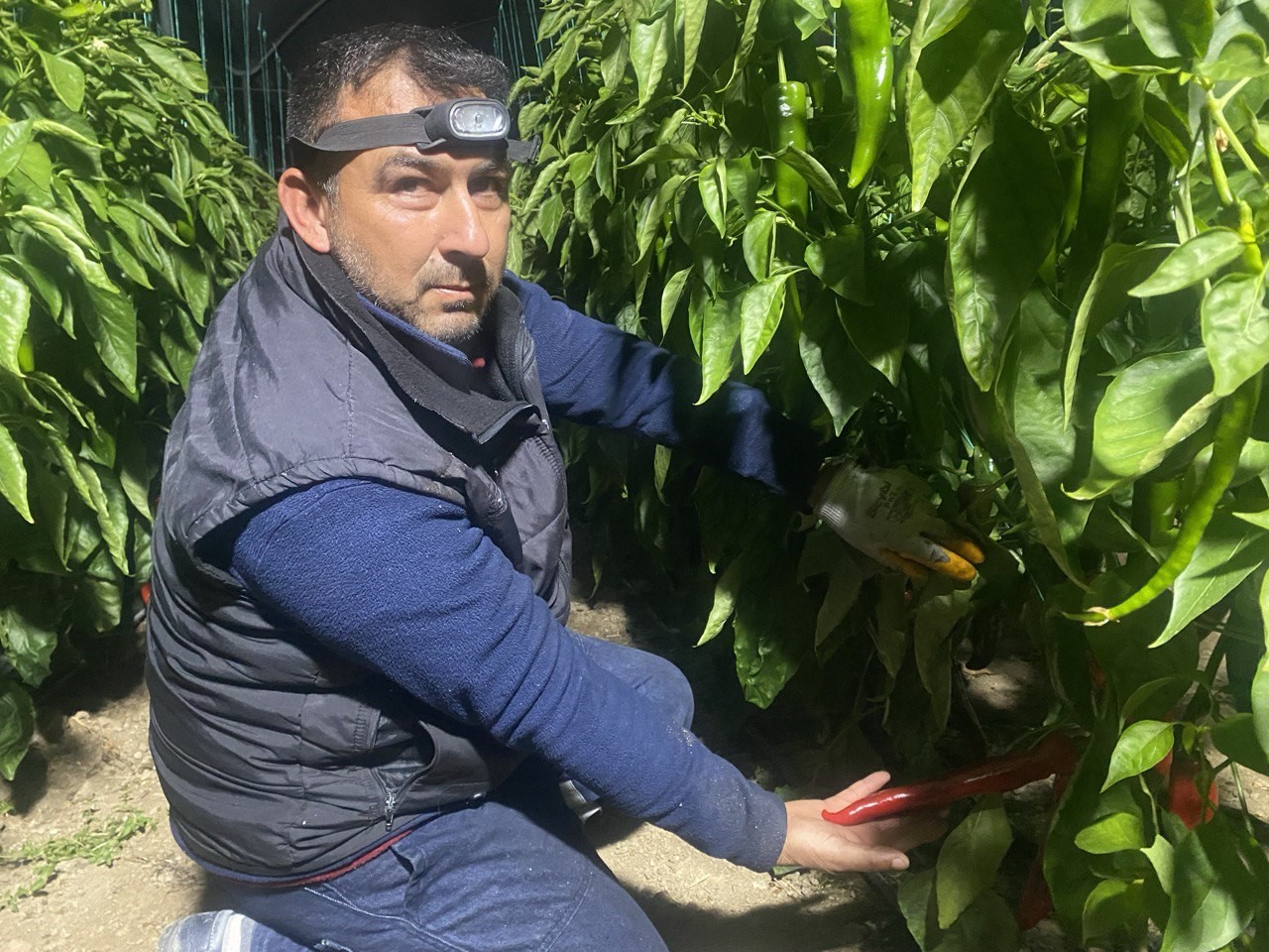 Denizli Haber Don Sera (2)