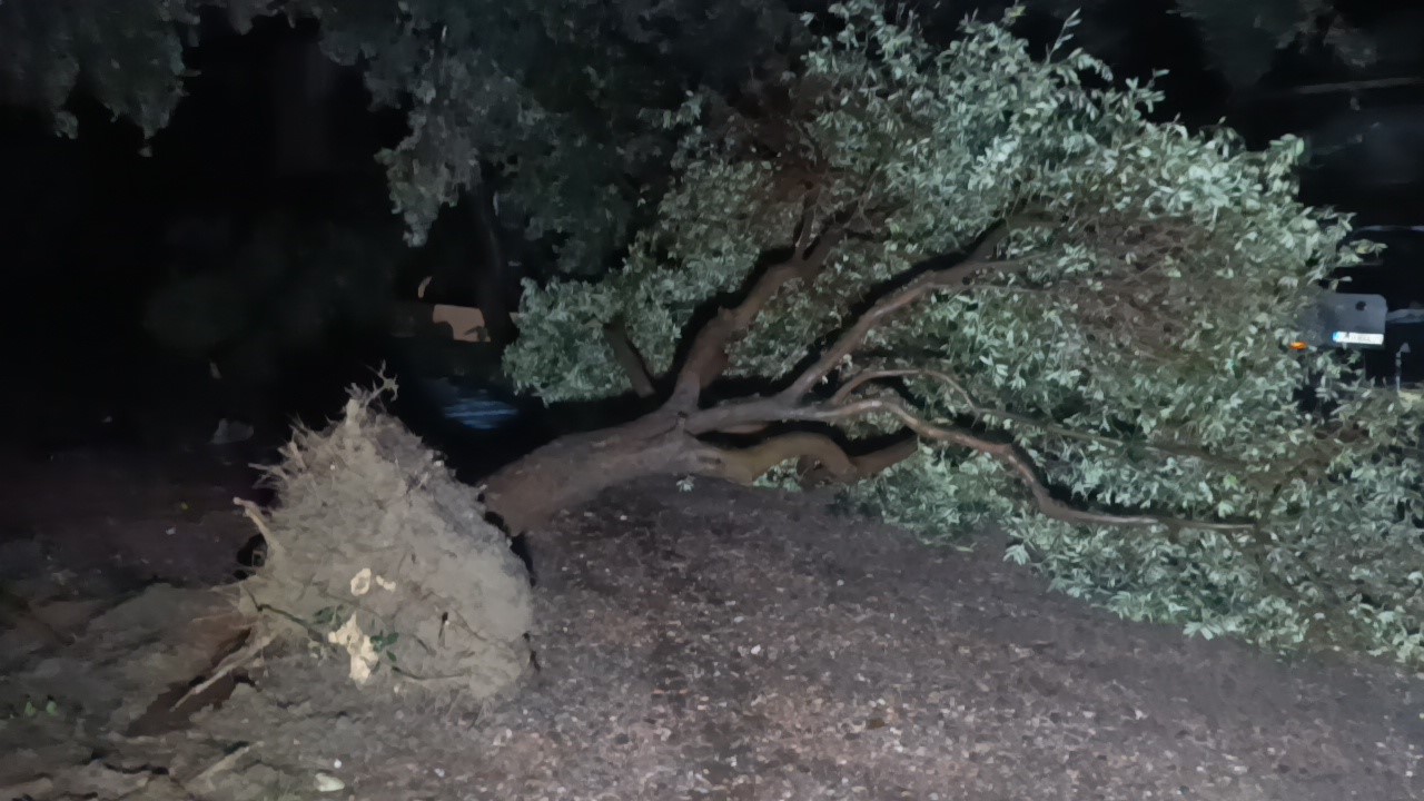 Denizli Haber Hortum Savaş Alanına Çevirdi2