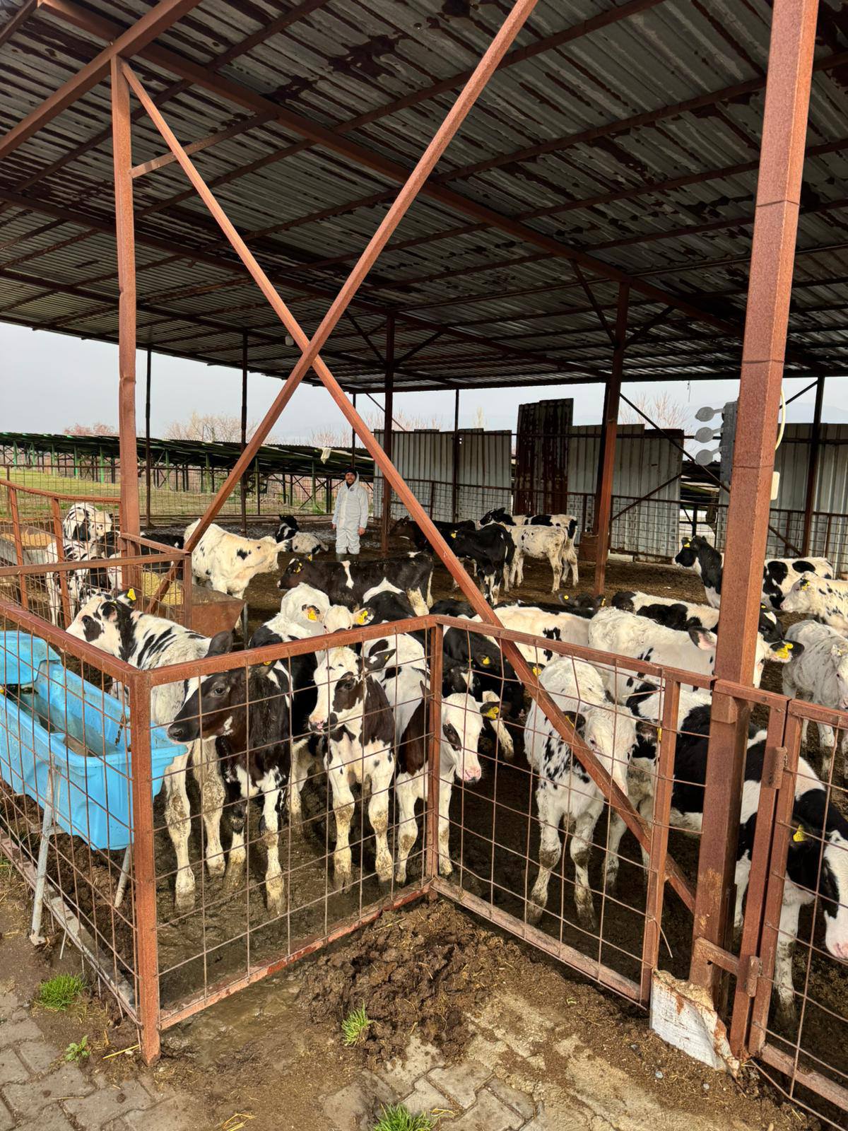 Denizli Haber Ilştarım