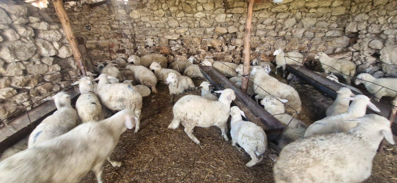 Denizli Haber Iltarım2-1