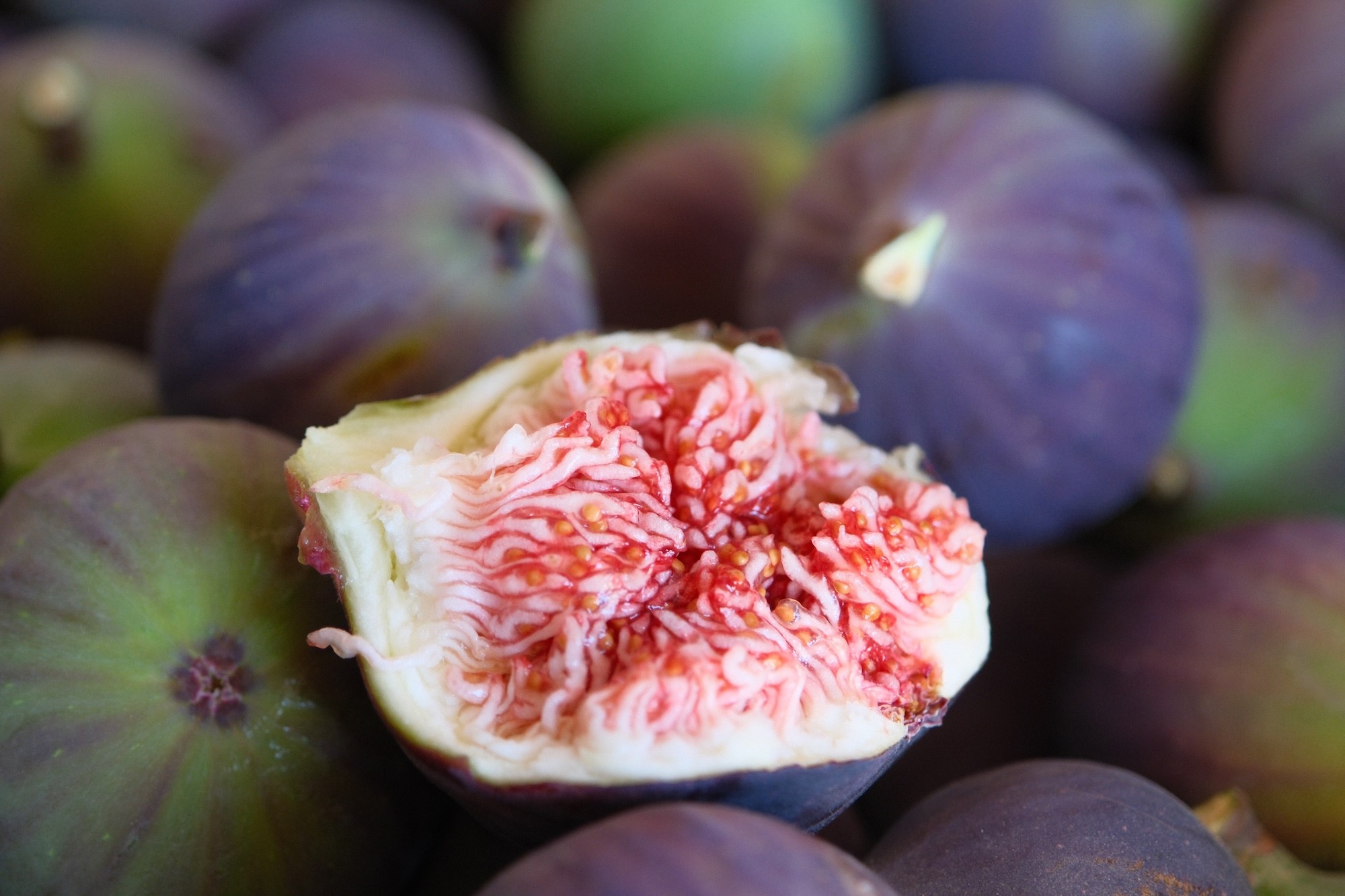 Denizli Haber Incirr-3