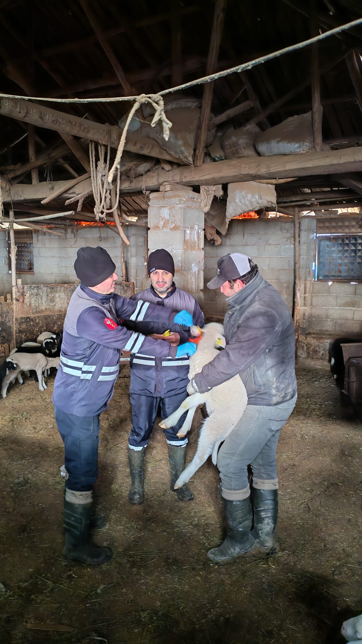 Denizli Haber Küleme2