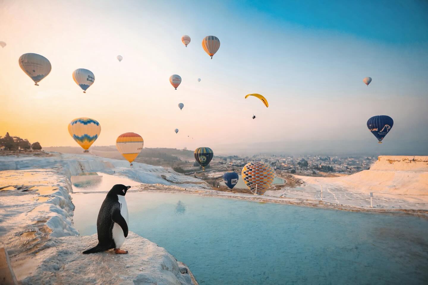 Deni̇zli̇ Haber Ni̇hi̇li̇stpenguen-1