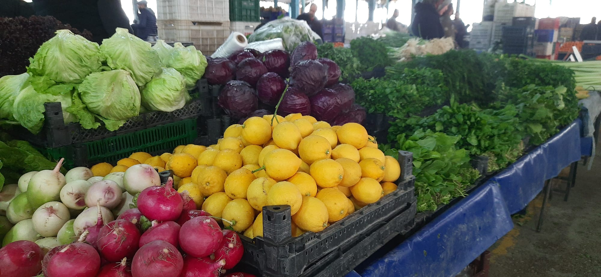 Denizli Haber Pazar Fiyatları1 (4)