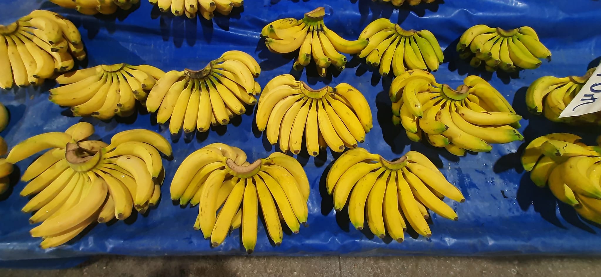 Denizli Haber Pazar Fiyatları1 (9)