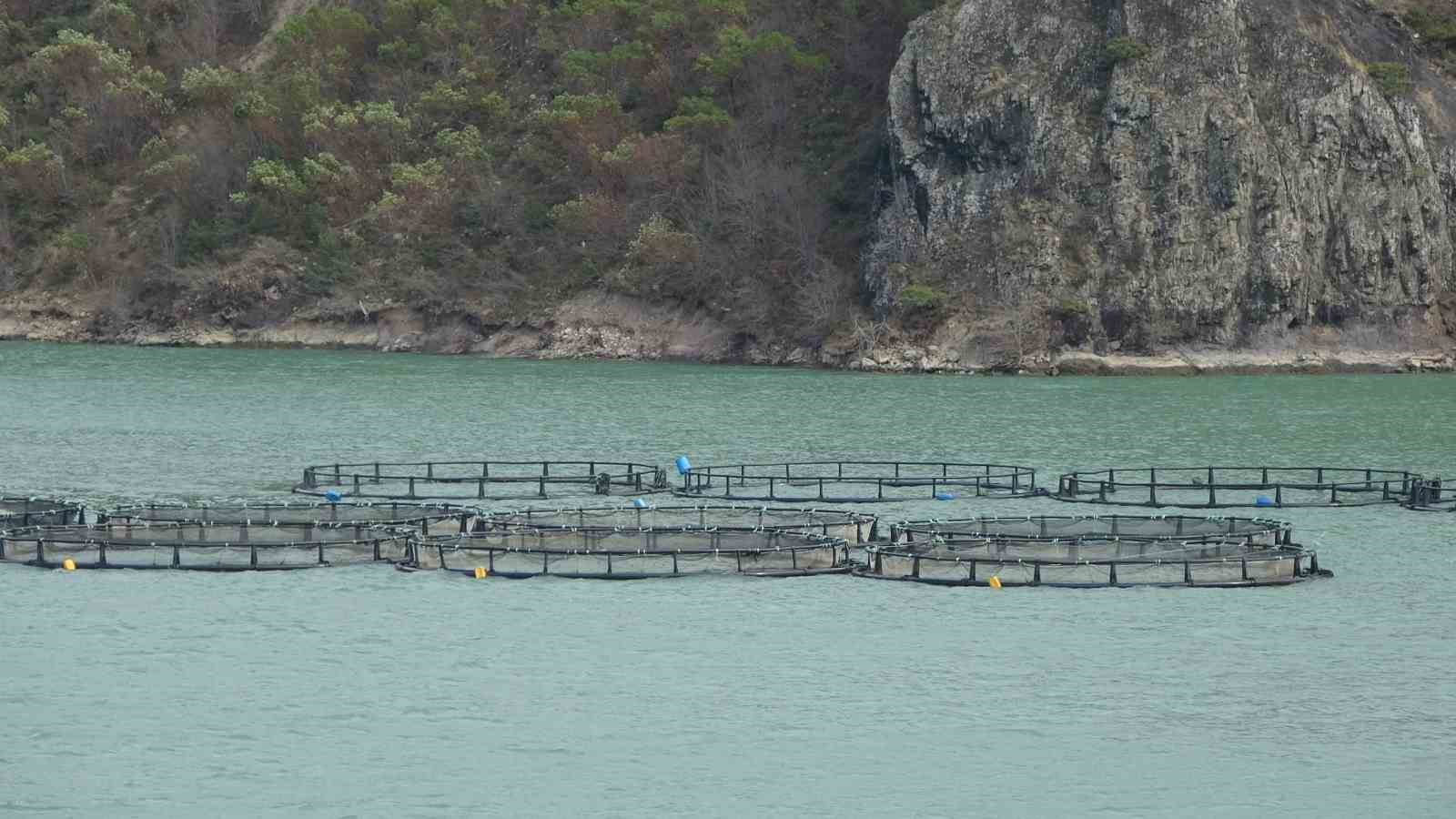 Denizli Haber Somon2-1