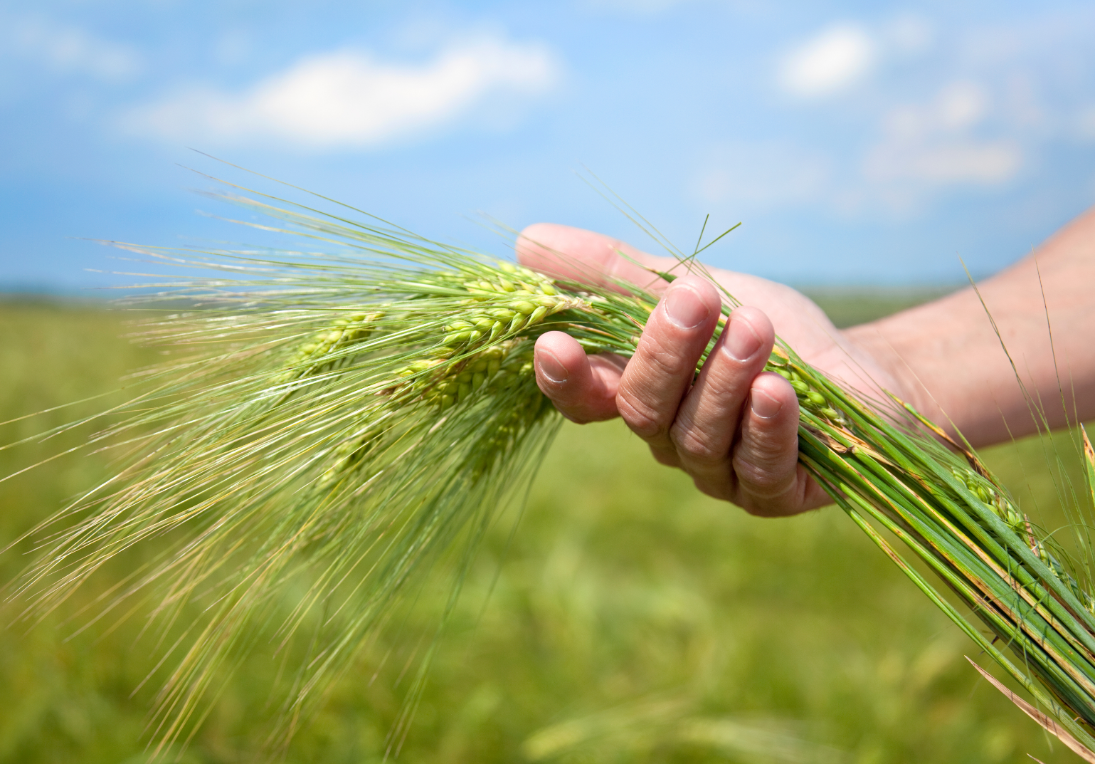 Deni̇zli̇ Haber Üreti̇ci̇ (1)-3