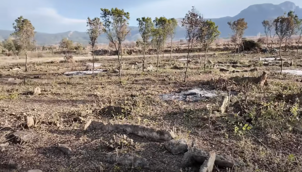 Denizli Haber Yeneileme Mezarlık