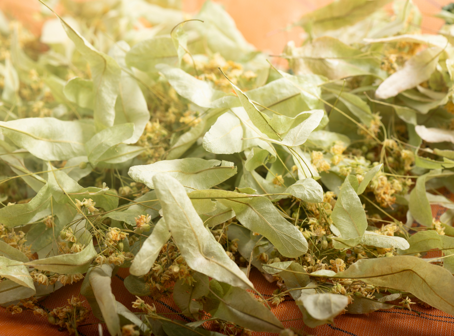 Denizli’de Şifayı Kapanlar Aktarın Yolunu Tutuyor (2)-1