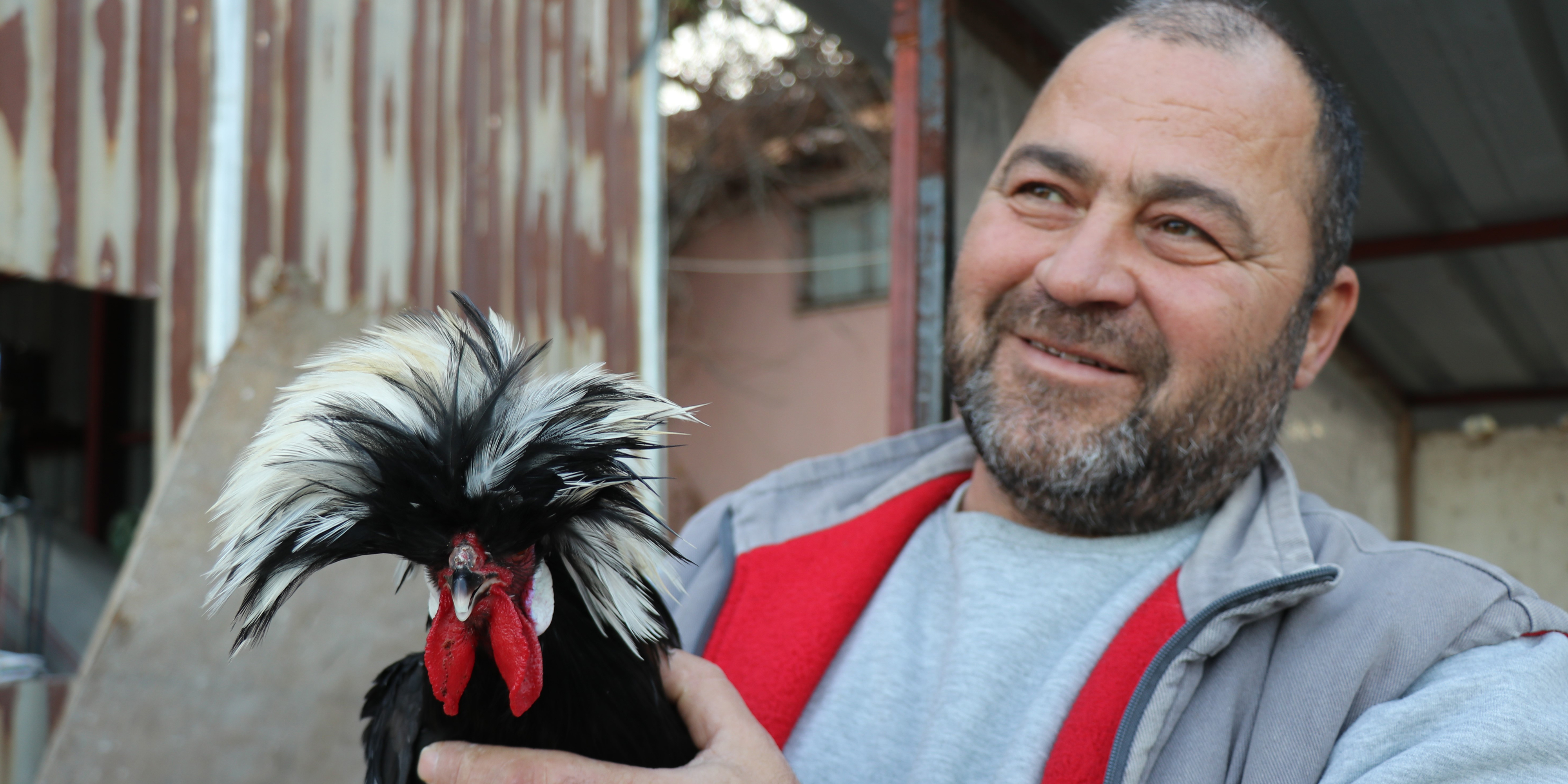 Mermer Fabrikasını Tavuk Çiftliği Yaptı! (2)