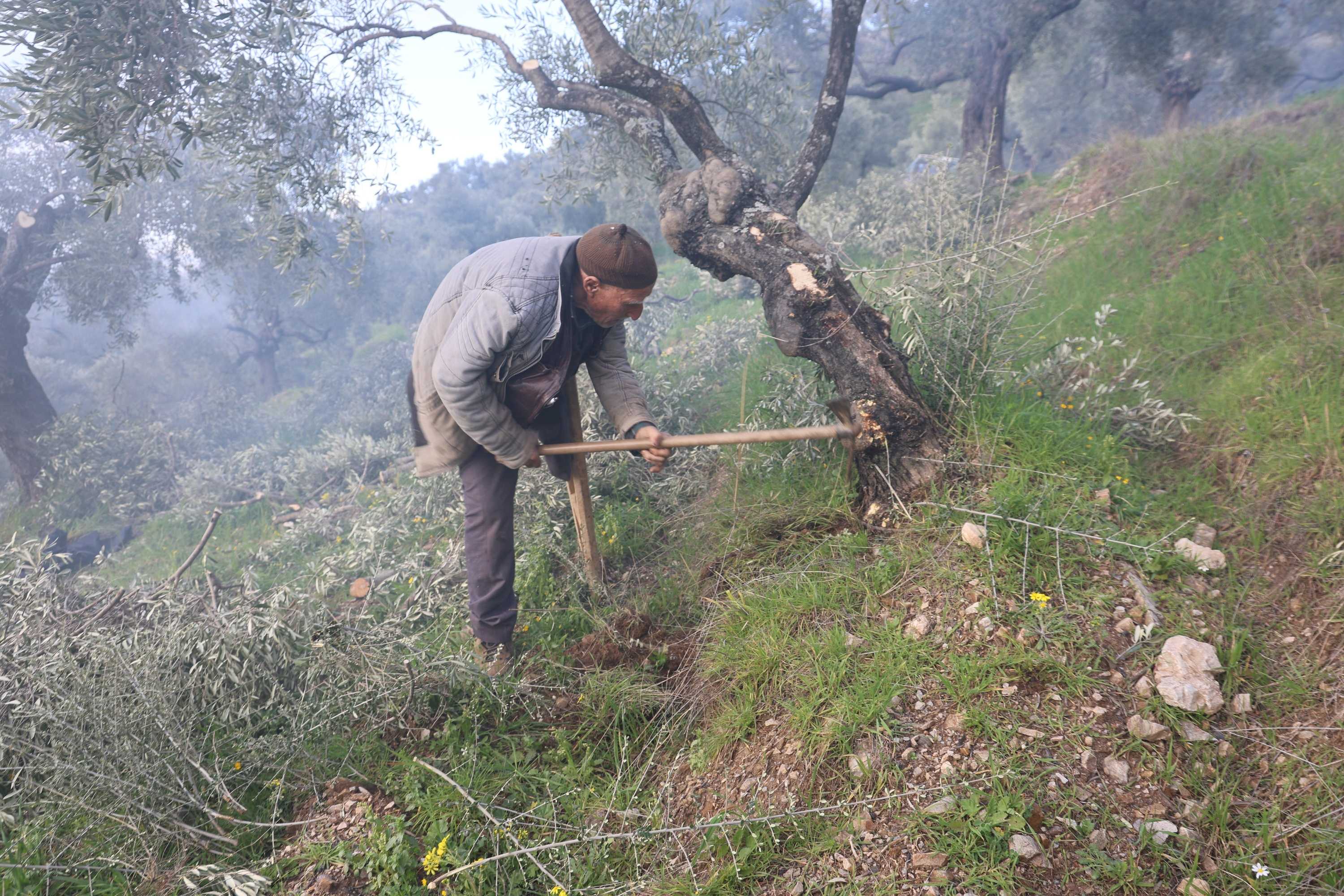 Aydın'da Tek Bacağıyla Bir Asırlık Yaşam Mücadelesi (1)