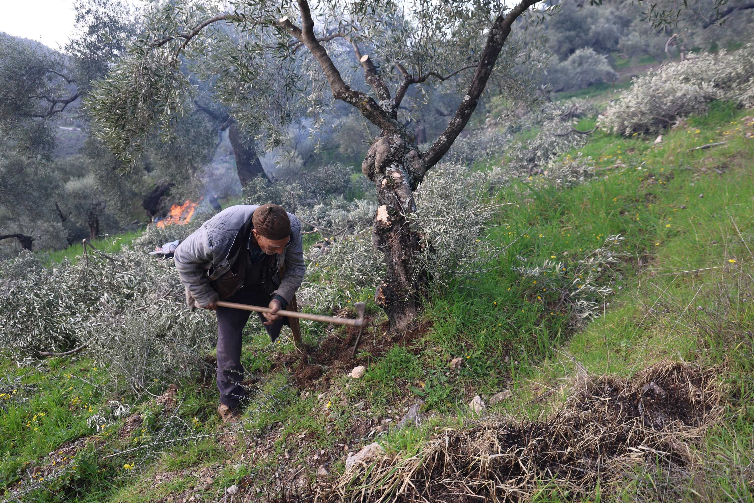Aydın'da Tek Bacağıyla Bir Asırlık Yaşam Mücadelesi (4)
