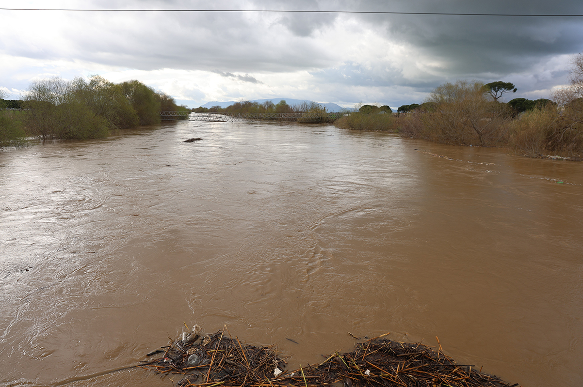 Büyük Menderes Nehri, Köprü Seviyesine Yükseldi Haber Denizli (1)