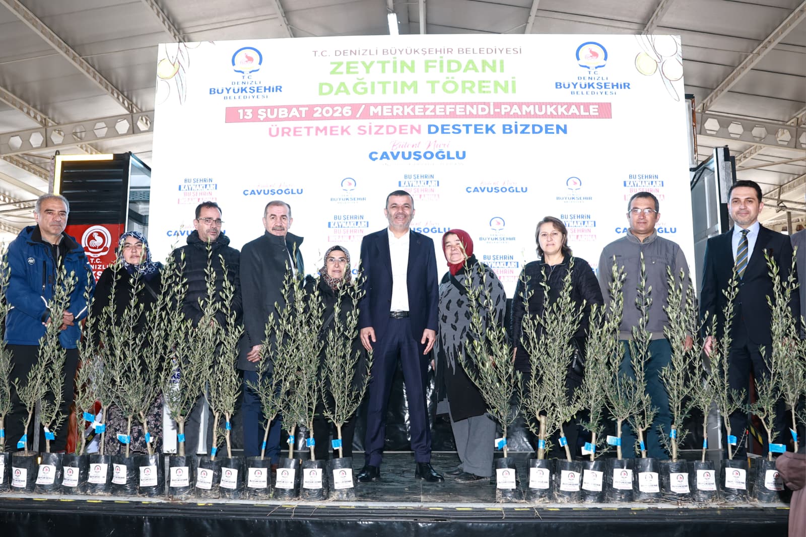 Denizli Büyükşehir’den Üreticiye 84 Bin Sertifikalı Zeytin Fidanı (4)