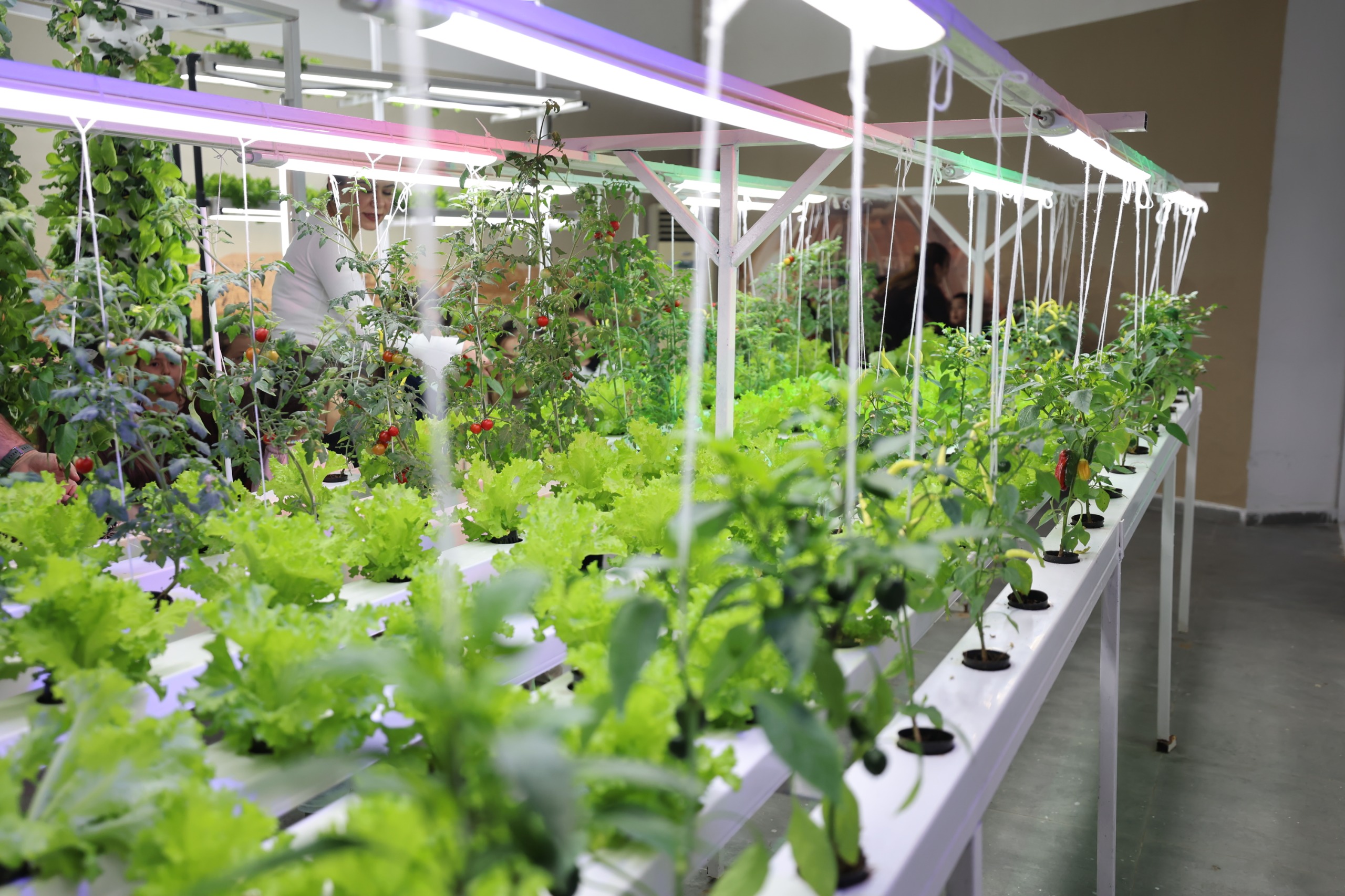 Denizli Haber Bilim Merkezi (9)-1