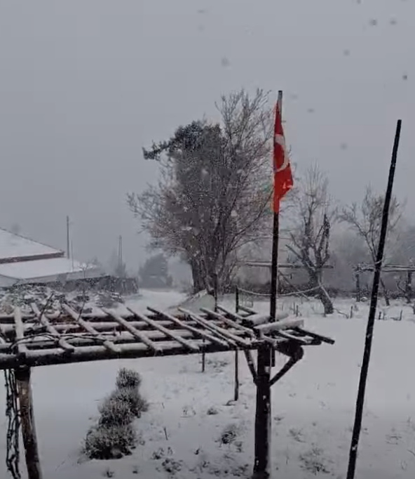 Denizli Haber Çameli Kar-1