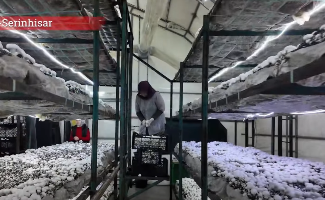 Denizli Haber Serinhisar Uzman Eller Projesi (2)-1