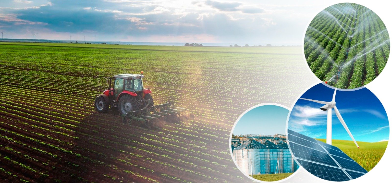 Denizli Haber Tarımsalkalkınma (1)