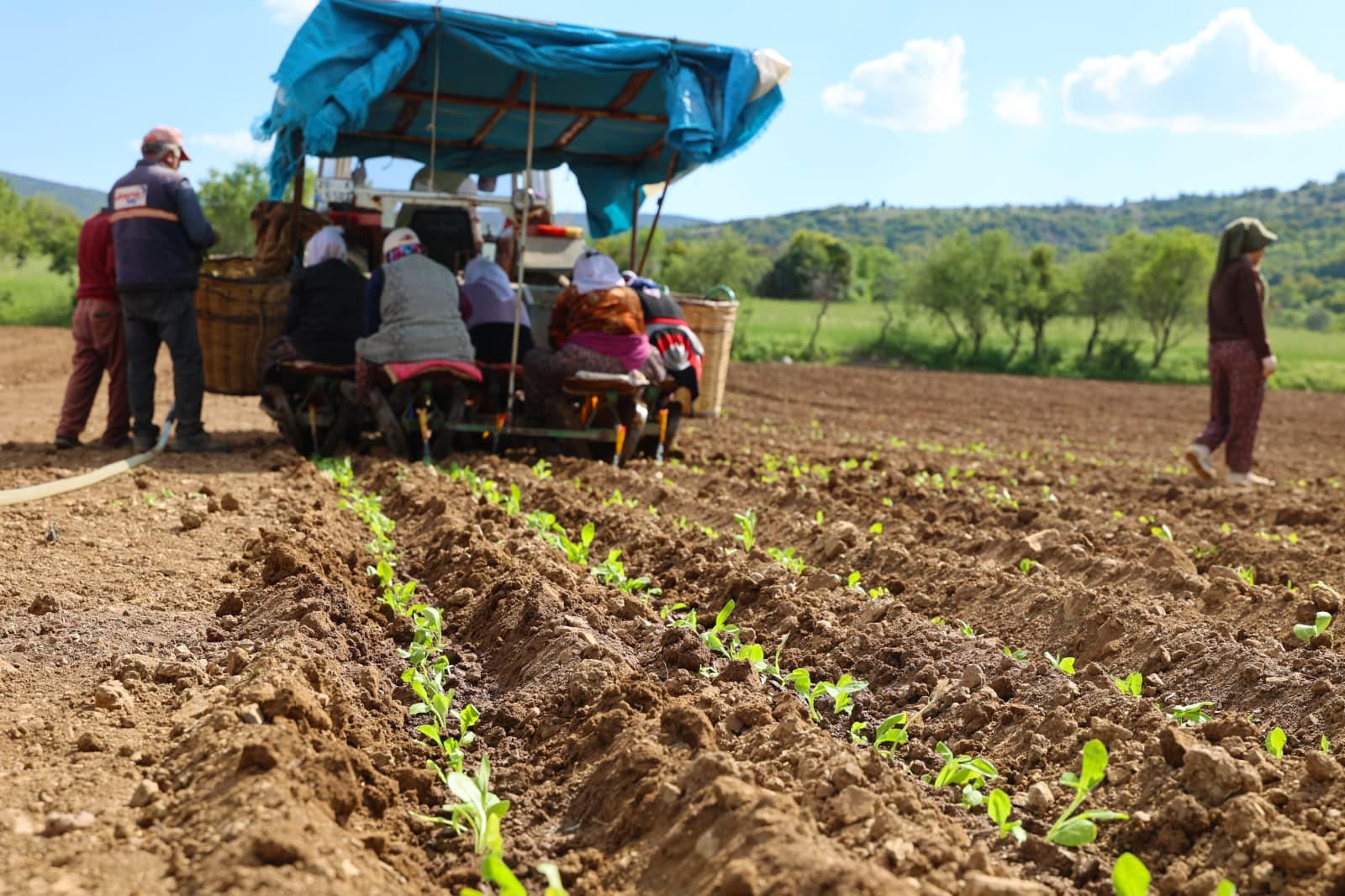 Denizli Haber Tatık (1)-4