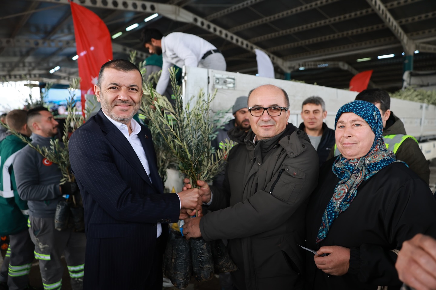 Denizli Haber Zeytinfidanı (1)