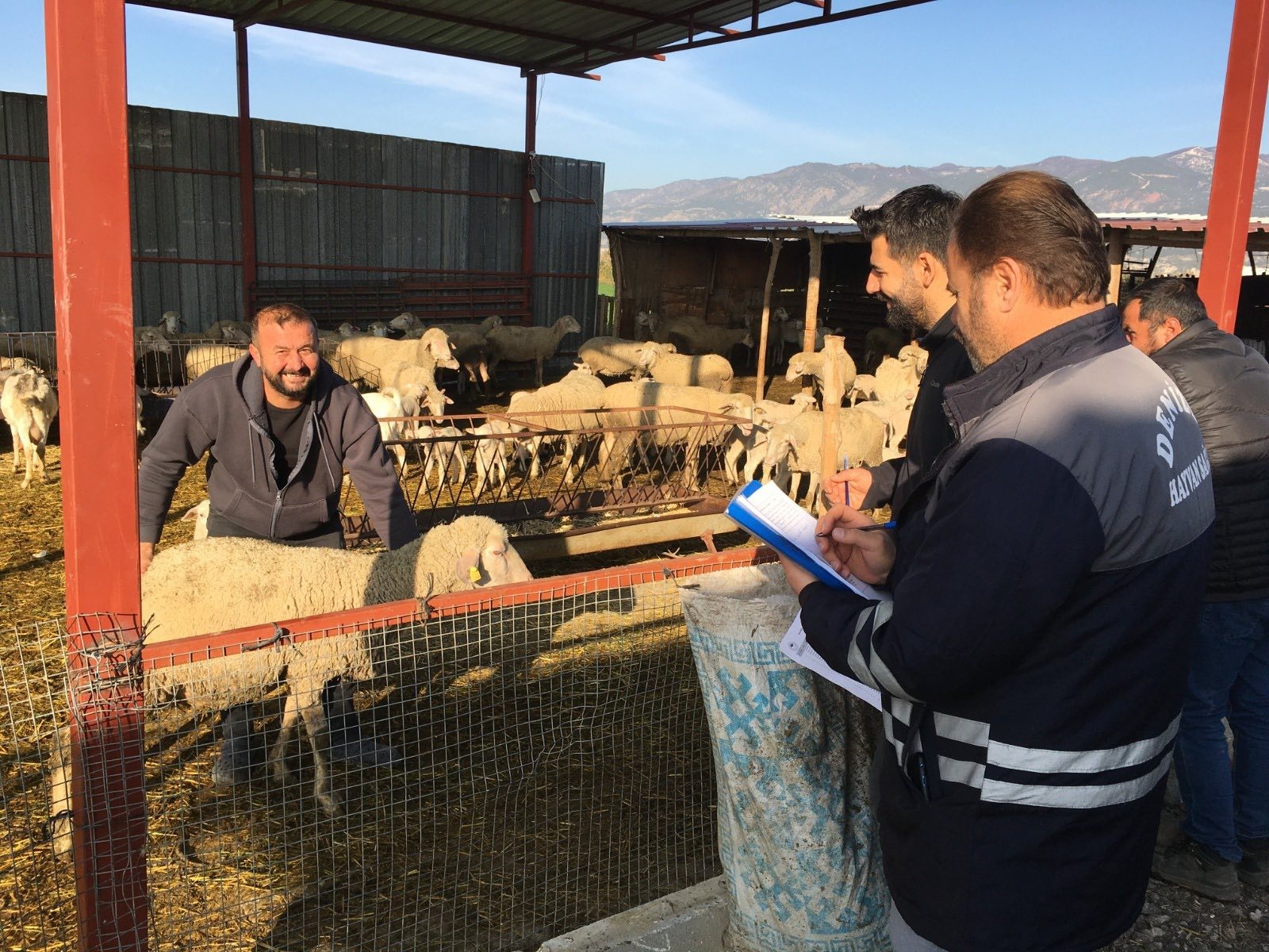 Denizli Hayvancılığında Sağlık, Üretim Ve Güç Bir Arada (2)