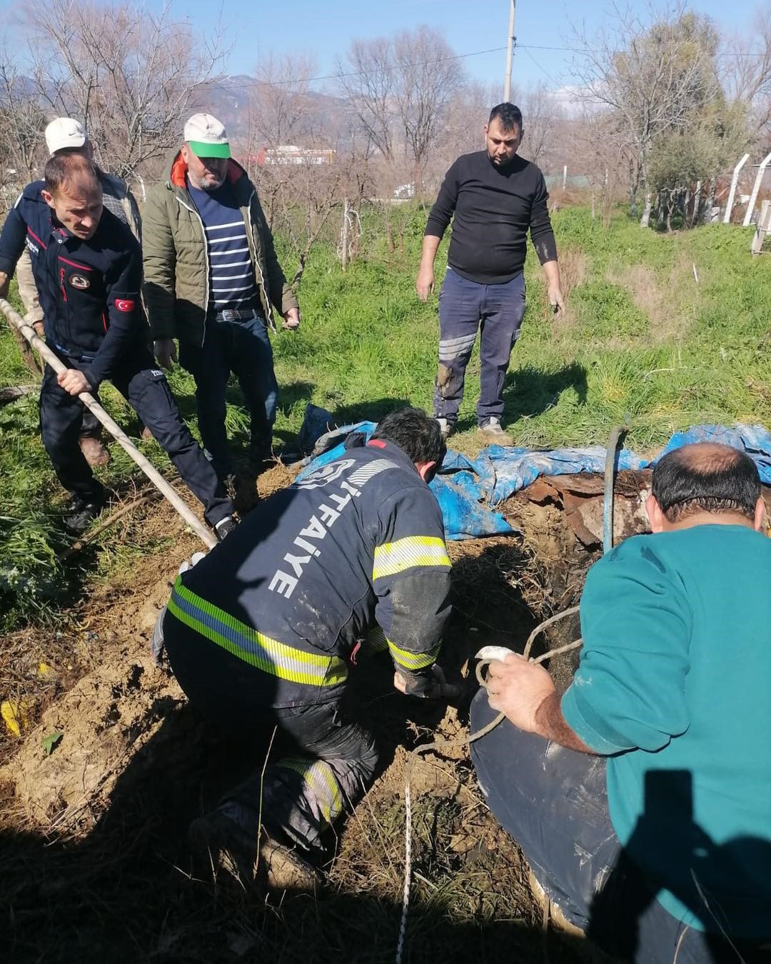 Denizli’de Foseptik Çukuruna Düşen Inek Için Seferber Oldular...haber (2)