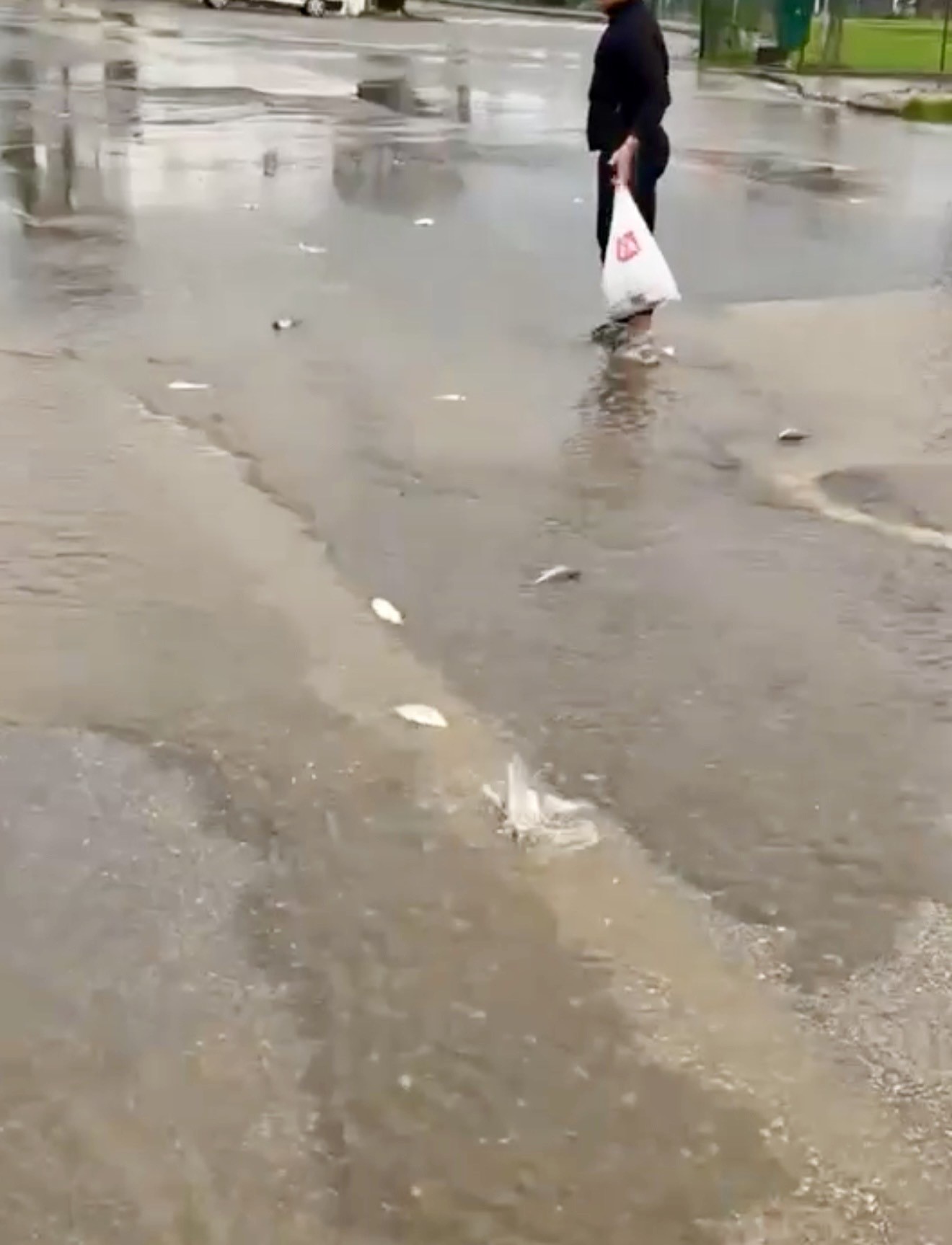 Gölet Taştı, Asfalta Balık Yağdı! Poşetini Alan Oraya Koştu.. (2)
