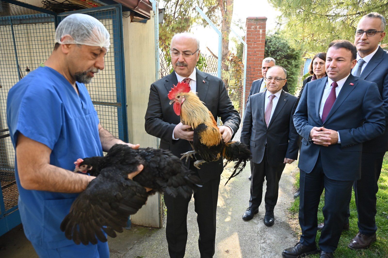 649534176 1405183604955651 2386856055529278599 N