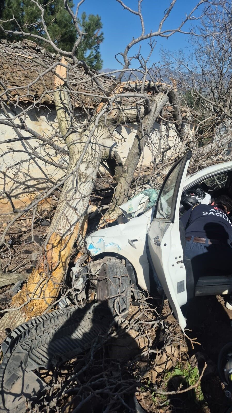 Aydın'da Feci Kaza! Otomobil Ağaçlara Ok Gibi Saplandı 2 Kişi Can Verdi Trafik Kazası Aydın Haberleri (3)