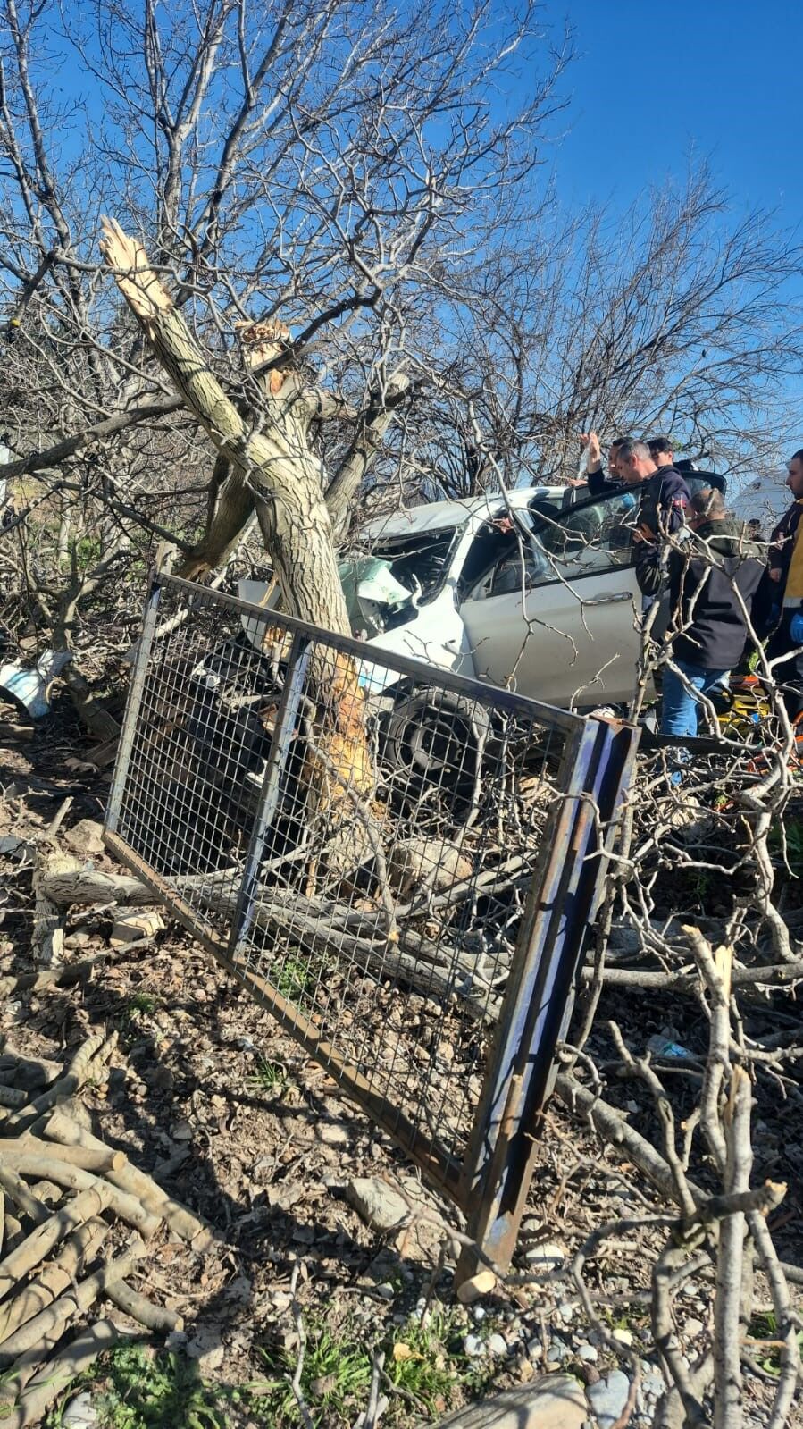 Aydın'da Feci Kaza! Otomobil Ağaçlara Ok Gibi Saplandı 2 Kişi Can Verdi Trafik Kazası Aydın Haberleri Öl (1)