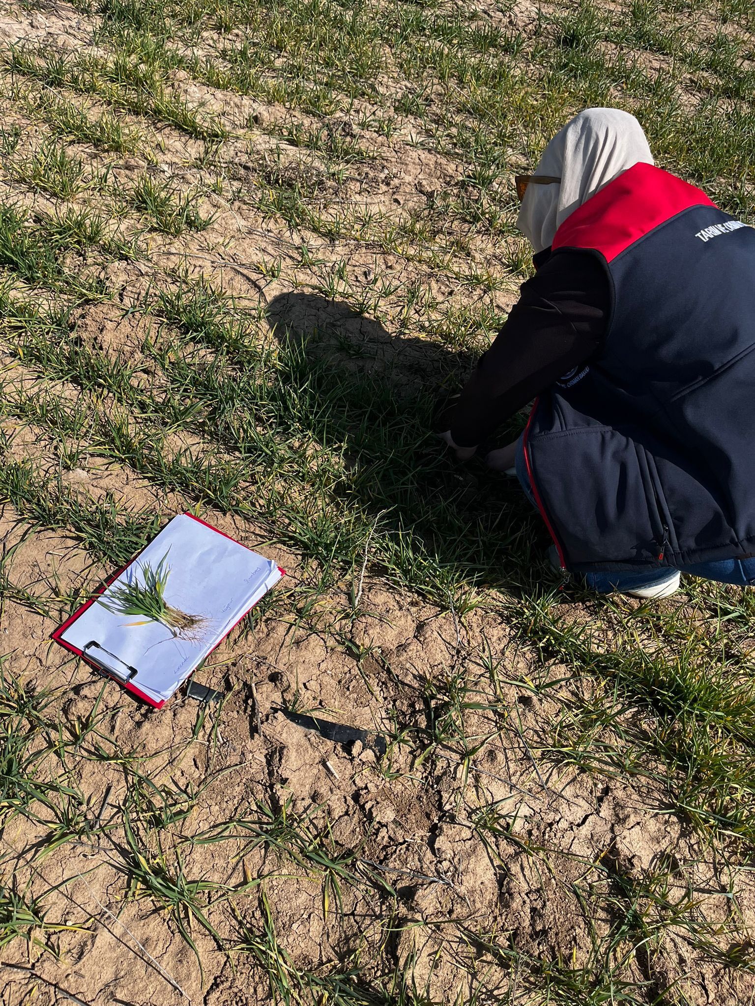 Baklan’da Üretim Sezonu Fenolojik Gözlemlerle Başladı (3)