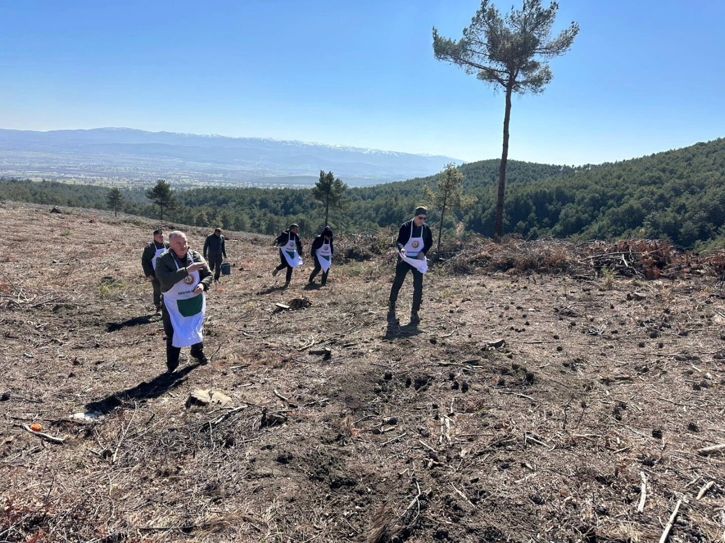 Banaz’da Ormancılık Faaliyetlerine Yerinde İnceleme (3)