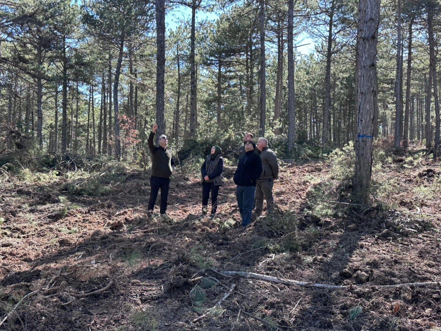 Banaz’da Ormancılık Faaliyetlerine Yerinde İnceleme (6)