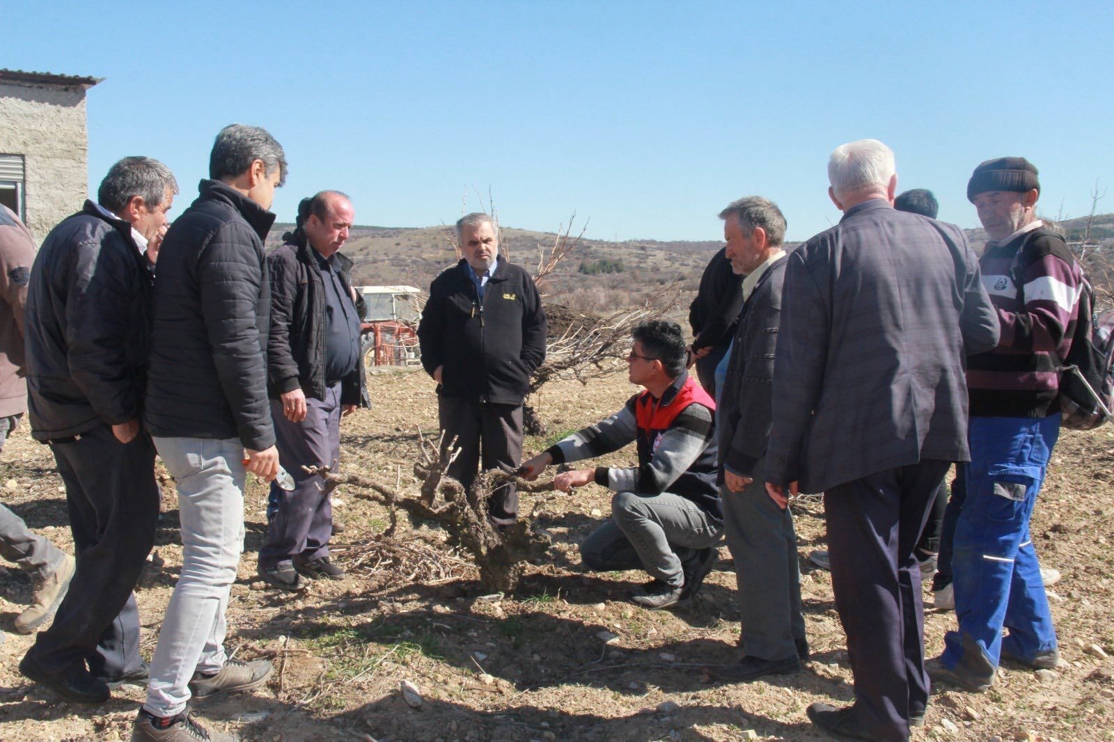 Denizli Haber Analiz-2