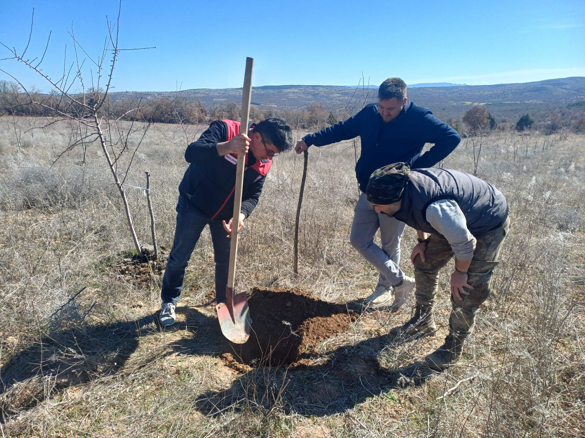 Denizli Haber Analiz7