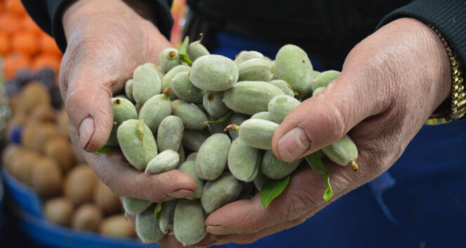 Denizli Haber Çağla (1)-2