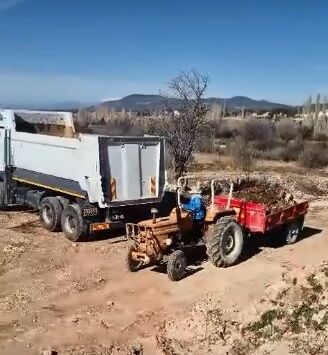 Denizli Haber Çamelii-3