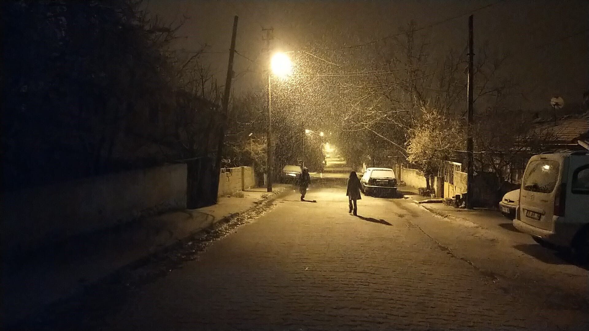 Denizli Haber Denizli Kar (4)