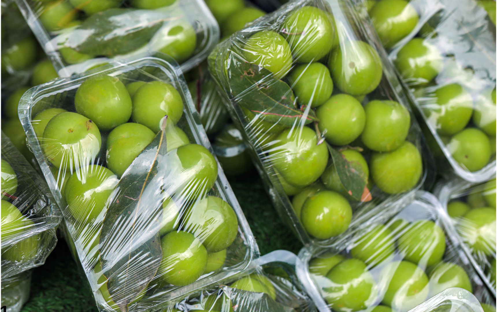 Denizli Haber Erik Fiyatları (1)-1